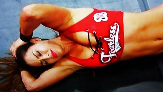 Le gemelle bella (nikki e brie) wwe divas mega collezione 2
 #18384581