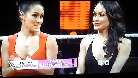 Bella Twins (Nikki and brie) WWE divas mega collection 2
 #18384596