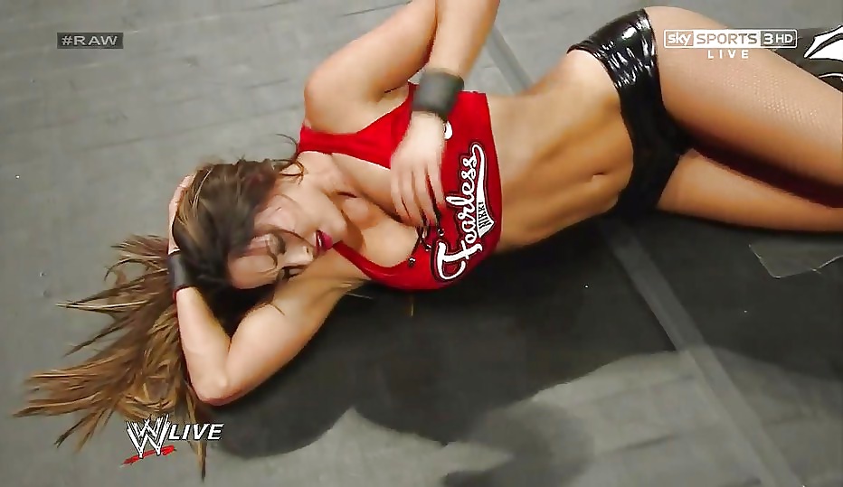 Bella Twins (Nikki and brie) WWE divas mega collection 2
 #18384662