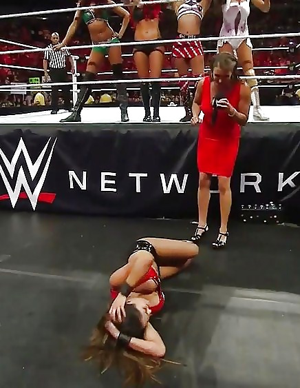 Bella Twins (Nikki and brie) WWE divas mega collection 2
 #18384685