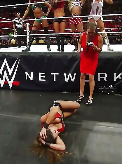 Le gemelle bella (nikki e brie) wwe divas mega collezione 2
 #18384692