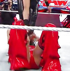 The Bella Twins (Nikki and Brie) WWE Divas mega collection 2 #18384724