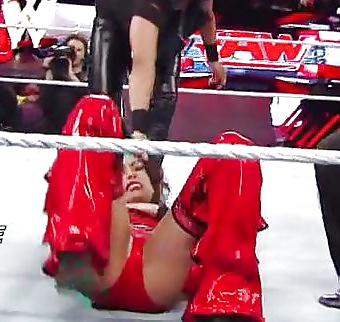 Bella Twins (Nikki and brie) WWE divas mega collection 2
 #18384728