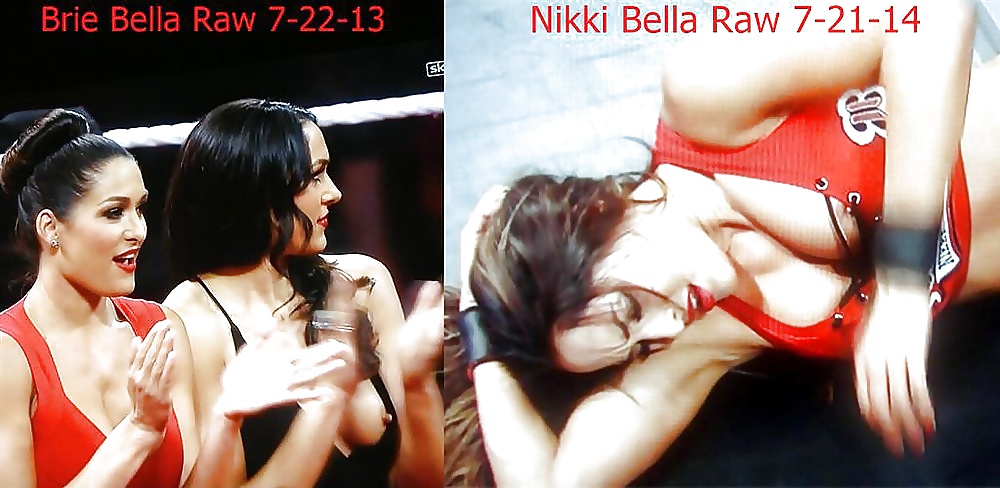 Bella Twins (Nikki and brie) WWE divas mega collection 2
 #18384796