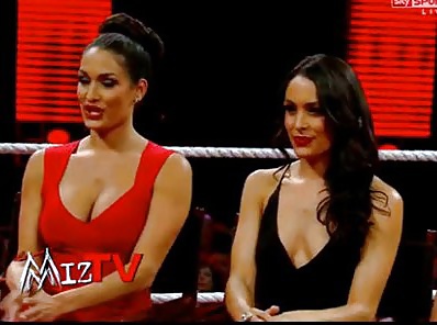 The Bella Twins (Nikki and Brie) WWE Divas mega collection 2 #18384802