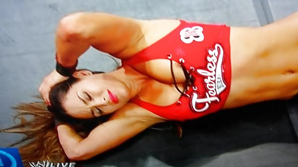 Le gemelle bella (nikki e brie) wwe divas mega collezione 2
 #18384820