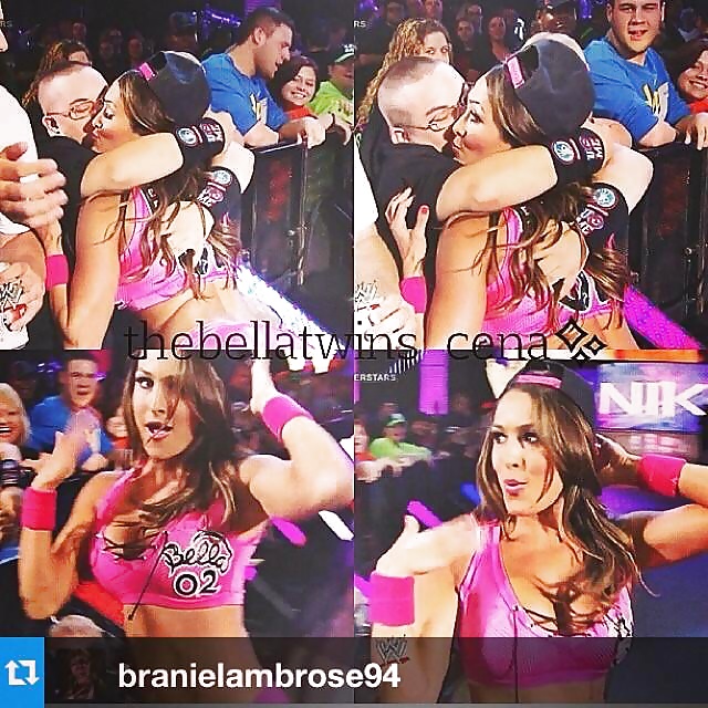 The Bella Twins (Nikki and Brie) WWE Divas mega collection 2 #18384840