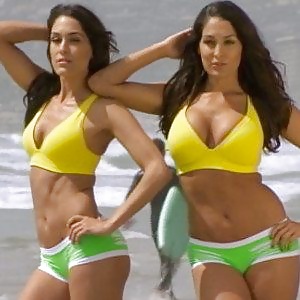 Bella Twins (Nikki and brie) WWE divas mega collection 2
 #18384934