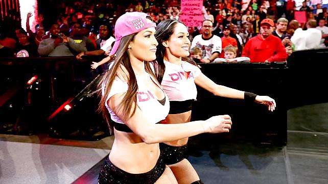 Les Jumeaux Bella (nikki Et Brie) Wwe Divas Mega Collection 2 #18385003