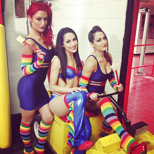 Bella Twins (Nikki and brie) WWE divas mega collection 2
 #18385016