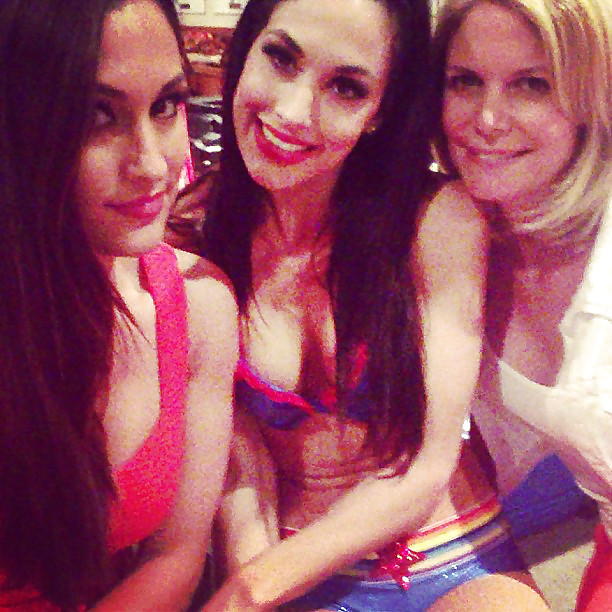 Bella Twins (Nikki and brie) WWE divas mega collection 2
 #18385021
