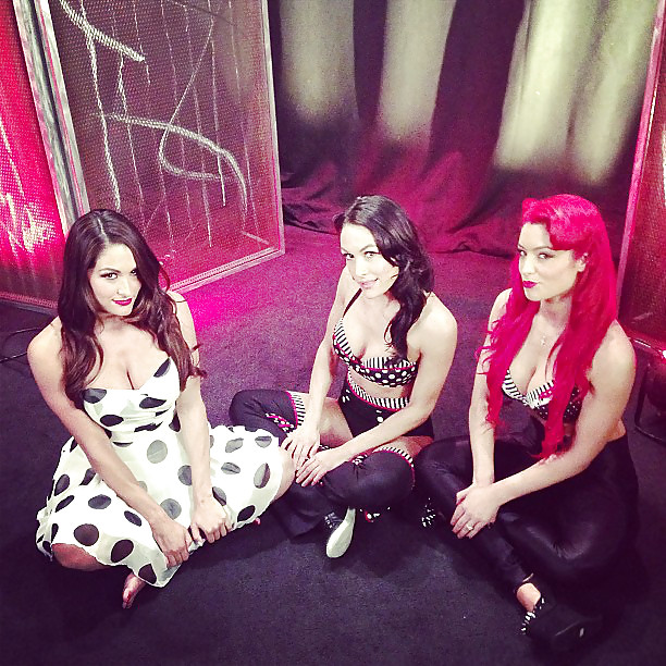 Bella Twins (Nikki and brie) WWE divas mega collection 2
 #18385055
