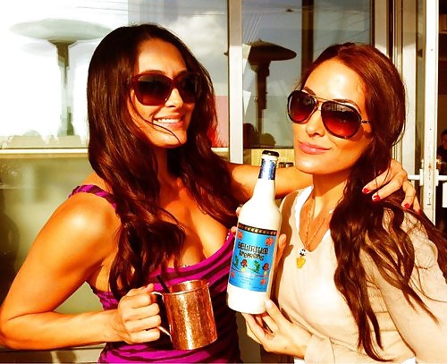 Le gemelle bella (nikki e brie) wwe divas mega collezione 2
 #18385069