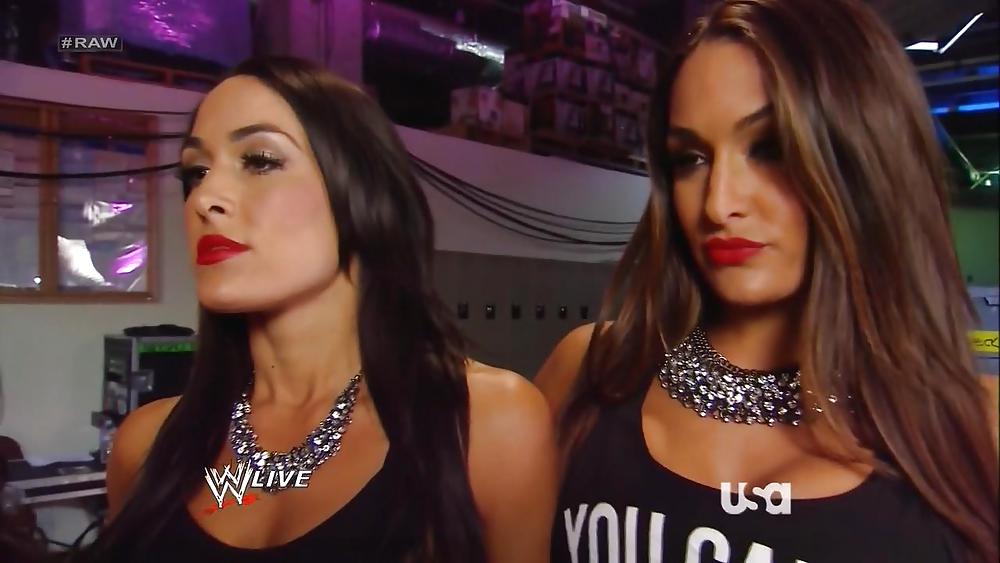 The Bella Twins (Nikki and Brie) WWE Divas mega collection 2 #18385112