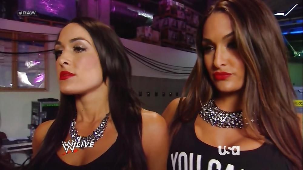 Bella Zwillinge (nikki Und Brie) Wwe Divas Mega Collection 2 #18385112