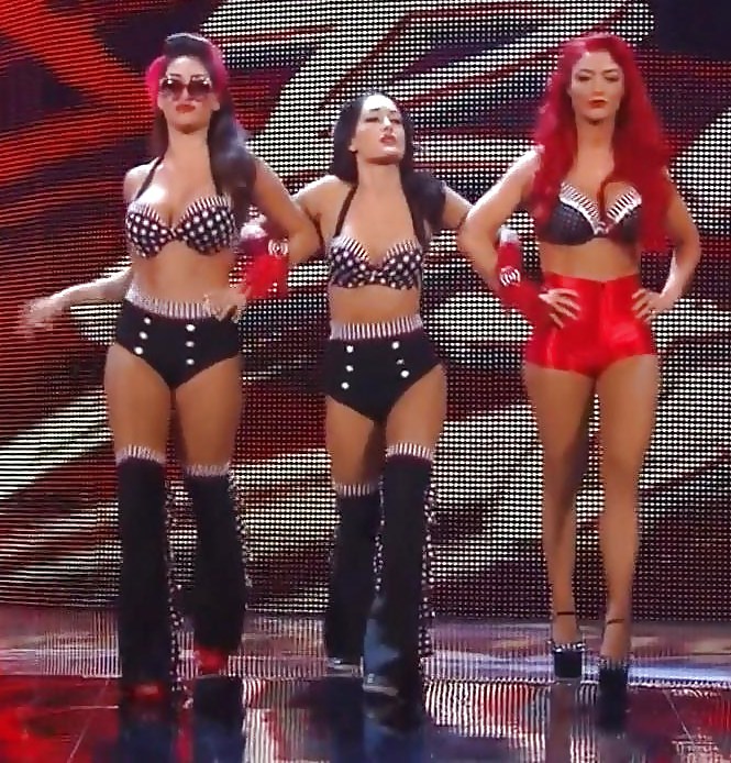 Bella Twins (Nikki and brie) WWE divas mega collection 2
 #18385132