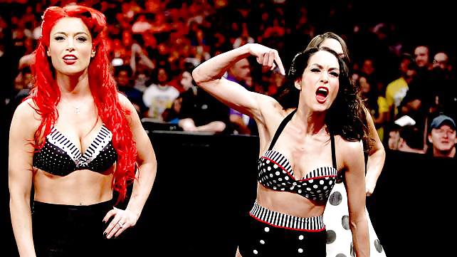 Bella Twins (Nikki and brie) WWE divas mega collection 2
 #18385136