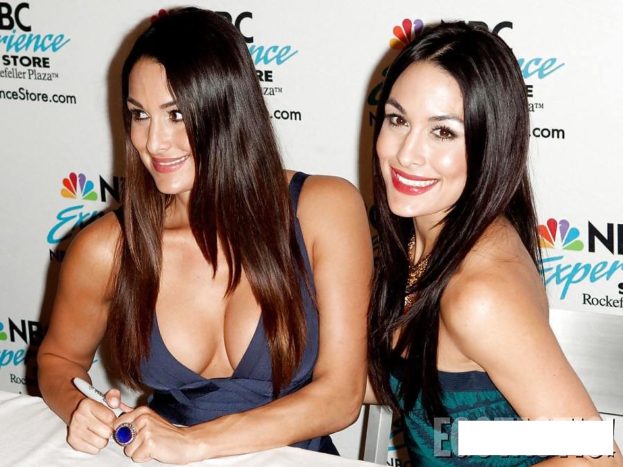 The Bella Twins (Nikki and Brie) WWE Divas mega collection 2 #18385158