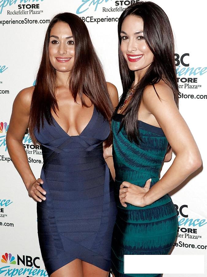 Bella Twins (Nikki and brie) WWE divas mega collection 2
 #18385165