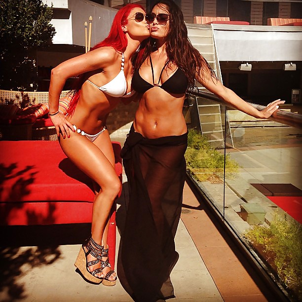 Le gemelle bella (nikki e brie) wwe divas mega collezione 2
 #18385214