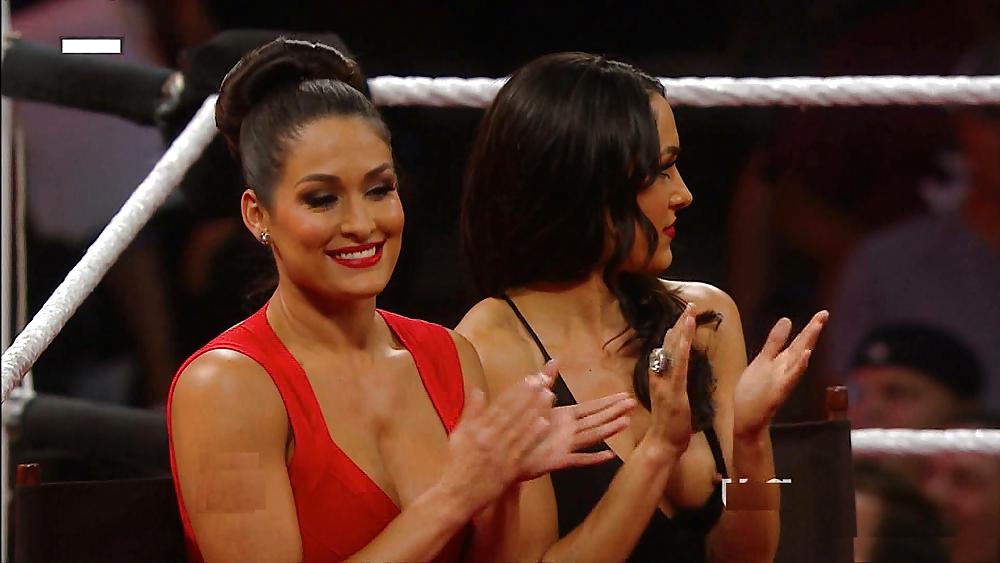 Bella Twins (Nikki and brie) WWE divas mega collection 2
 #18385224