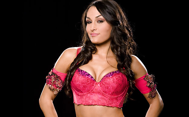 Le gemelle bella (nikki e brie) wwe divas mega collezione 2
 #18385249