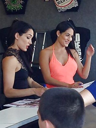 Bella Twins (Nikki and brie) WWE divas mega collection 2
 #18385282