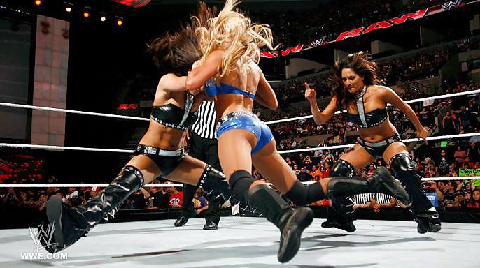 Le gemelle bella (nikki e brie) wwe divas mega collezione 2
 #18385411