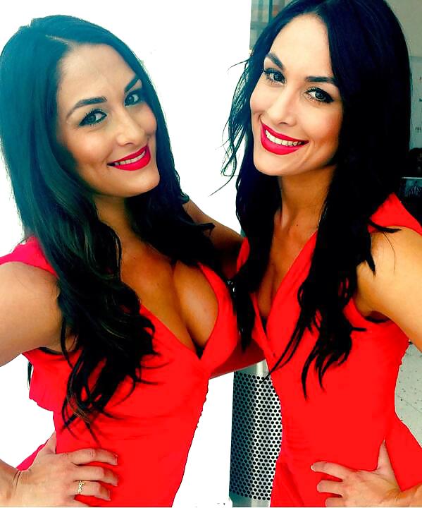 Bella Twins (Nikki and brie) WWE divas mega collection 2
 #18385415