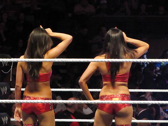 Le gemelle bella (nikki e brie) wwe divas mega collezione 2
 #18385530