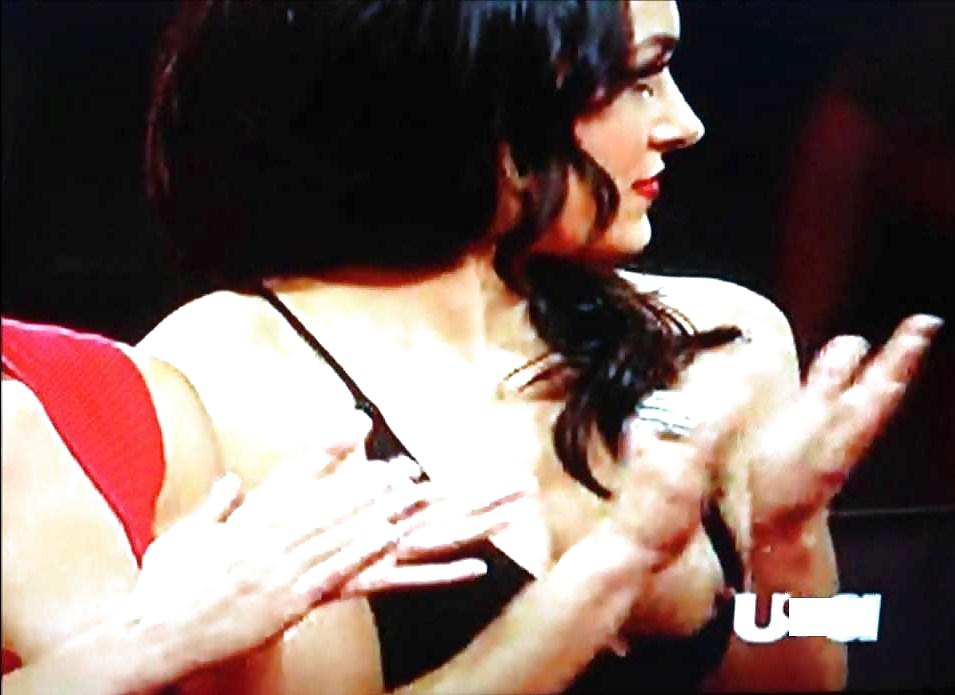 Bella Twins (Nikki and brie) WWE divas mega collection 2
 #18385567