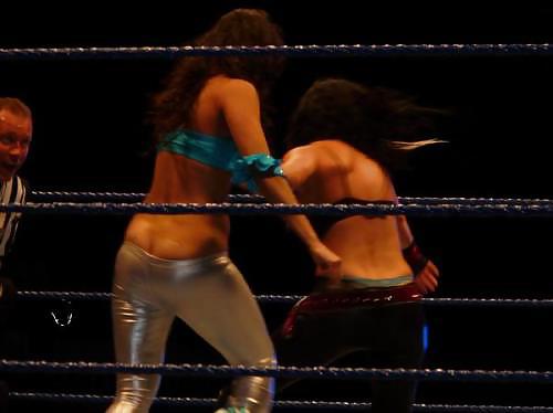 Bella Twins (Nikki and brie) WWE divas mega collection 2
 #18385713