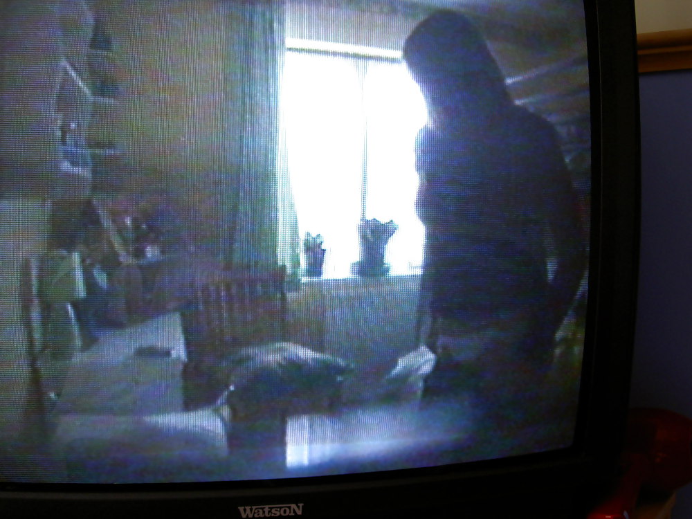 Spy cam Pics #6041522