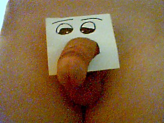 Dick elephant  :D #3523081