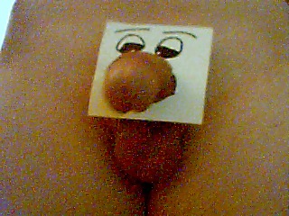 Dick elephant  :D #3523096