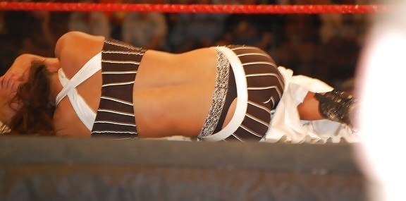 ミッキー・ジェームズ - TNAノックアウト、WWEディーバ・メガ・コレクション
 #6190559