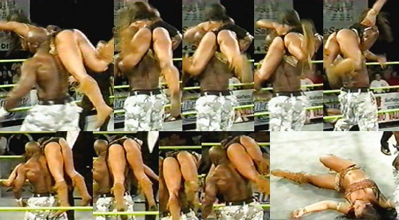 ミッキー・ジェームズ - TNAノックアウト、WWEディーバ・メガ・コレクション
 #6190608