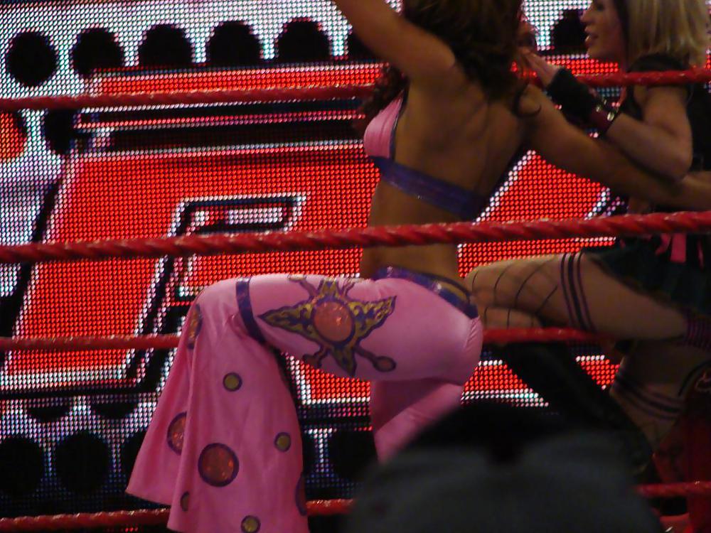 ミッキー・ジェームズ - TNAノックアウト、WWEディーバ・メガ・コレクション
 #6190913