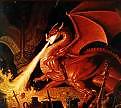 Meine Drachen #2368629