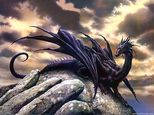 Meine Drachen #2368644
