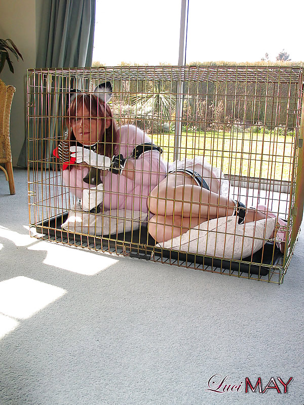 ペットガール
 #8584831