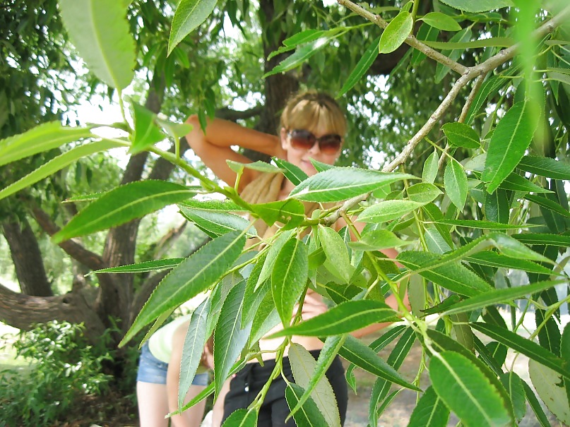 Alesia - russian provincial beauti girl #8958567