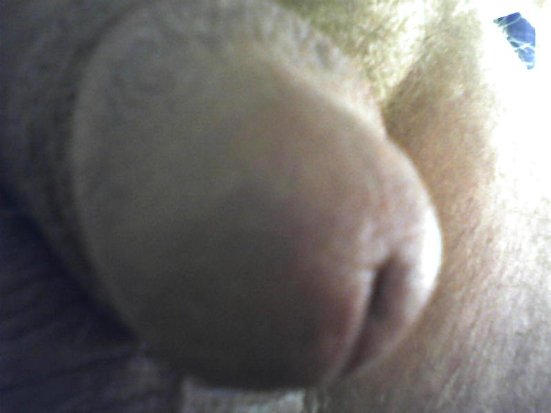 Hahn Pix #13131758