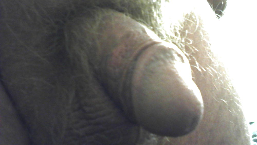 Hahn Pix #13131791