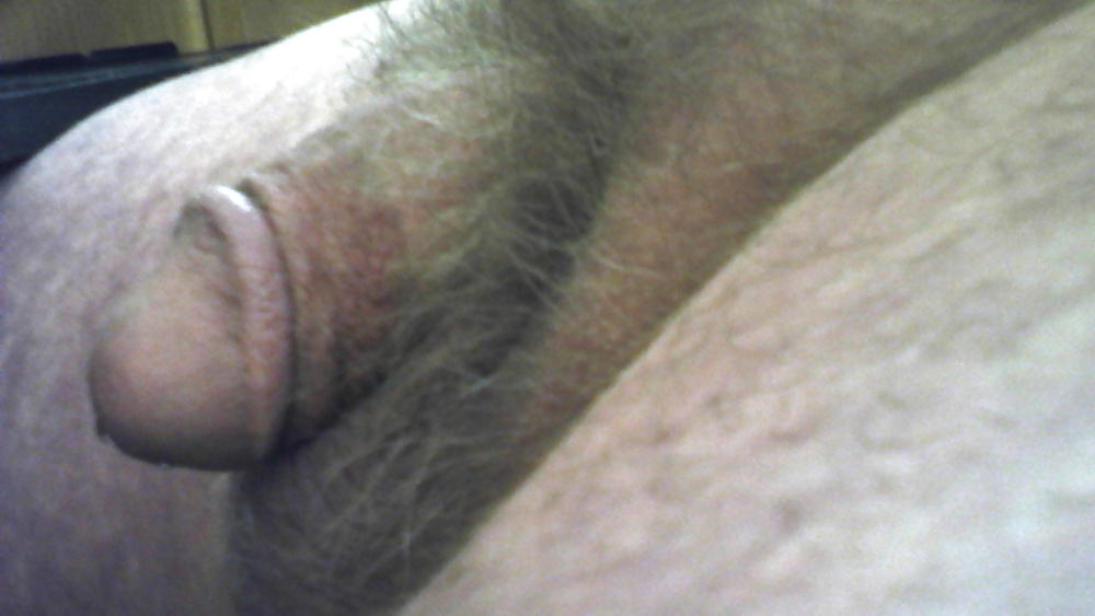 Hahn Pix #13131799