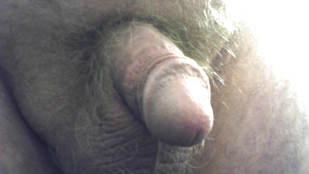 Hahn Pix #13131803