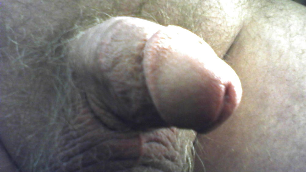 Hahn Pix #13131836