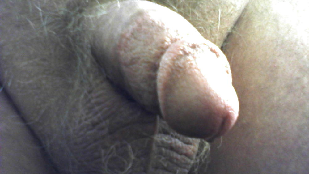 Hahn Pix #13131841