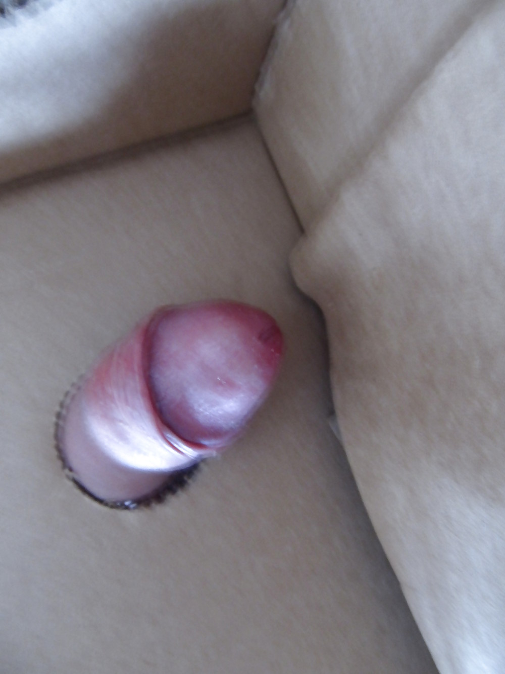 Homosexuell Hahn #9089721