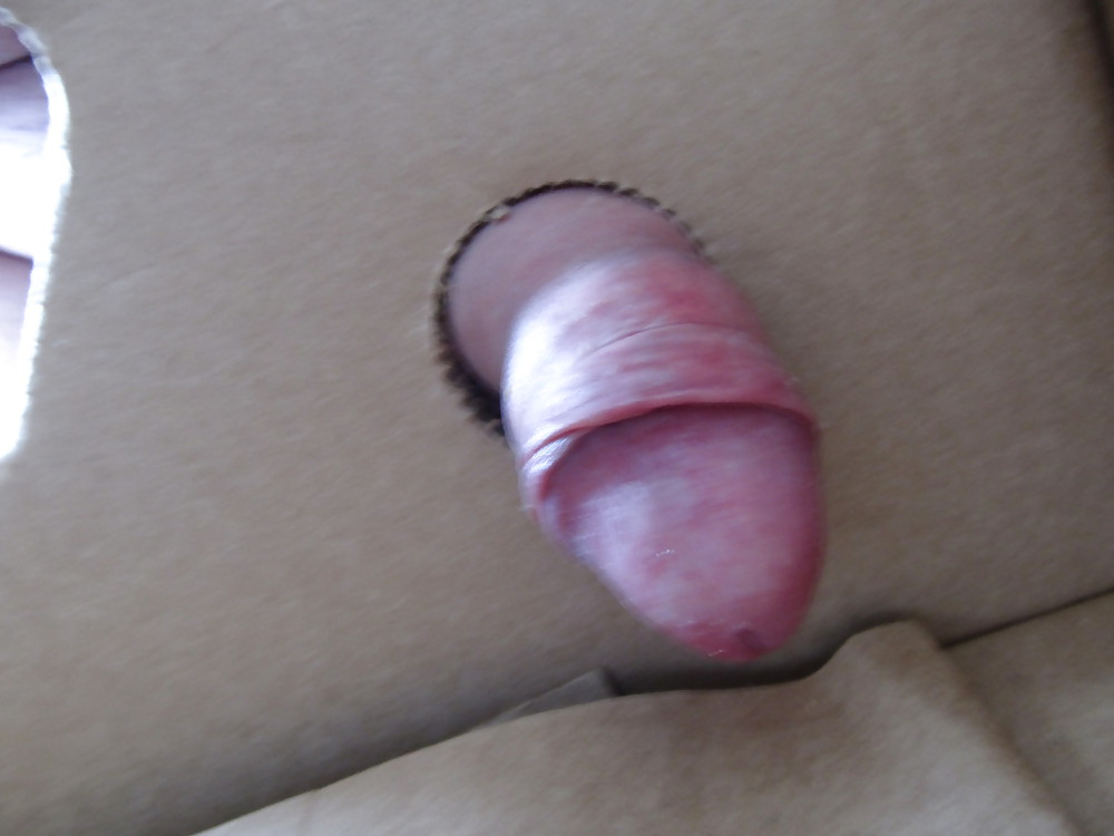 Homosexuell Hahn #9089731